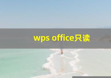 wps office只读